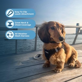 Best Pet Supplies - All Weather Mesh, Reflective, No Pull Harness for Small, Medium Dogs, Cats - Secure with Hook & Loop Fastener, Buckle, Double D-Rings - Black/Black Trim, XL