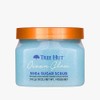 Tree Hut Shea Sugar Scrub Ocean Glow – Exfoliante de