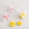 ccHuDE 10 Pcs 30 ml 1 oz Refillable Plastic Jars