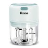 Rico Mini Electric Garlic Chopper | 250ML Wireless Veggie Grinder