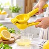 Manual Lemon Squeezer for Fresh Citrus Juice – Handheld Metal