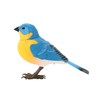 Francfranc Franc Motion Music Bird Clip Blue