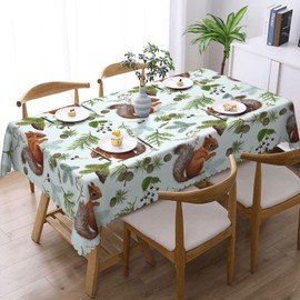 Reaocly Squirrels Pine Cone Tablecloth Rectangular Table Cloth Table Cover Reusable Tablecloths for Party Picnic Dinner Decor 54x72in