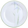 Corelle Impressions 10-1/4-Inch Dinner Plate, Shadow Iris