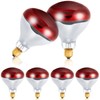 Treela 6 Pcs 110V Red Infrared Bulbs Medium E26 Base,