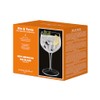 Luigi Bormioli Gin & Tonic 27 oz American Gin Glasses,