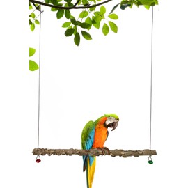 FlidRunest Bird Parrot Swing Toy, Natural Pepper Wood Bird Perch Stand, Hanging Bird Window Ceiling Swing Perch for Parrot Parakeet Conure Cockatiel Small Birds