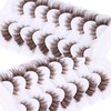 Brown Eyelashes Fairy Lashes Cat Eye Wispy False Eyelashes Strip