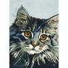 CafePress Elfin Maine Coon Cat By Lori Alexand Folded Greeting