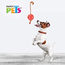 Fancy Pets FL9301 Juguete Bola Flotante