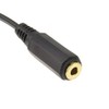 kenable Gold 3.5mm Stereo Jack Socket to 2 Phono RCA