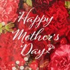 Sanrio JMD 16-5 613983 Grill-Tingkado Message Card Mother's Day Flower