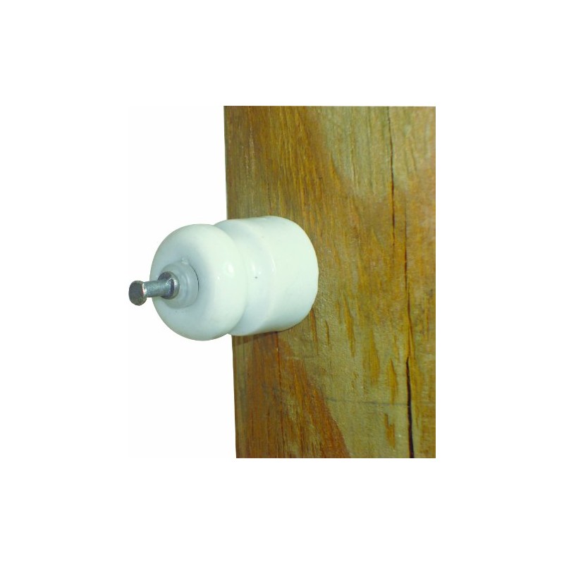 Field Guardian Porcelain Insulator with Nail and Washer