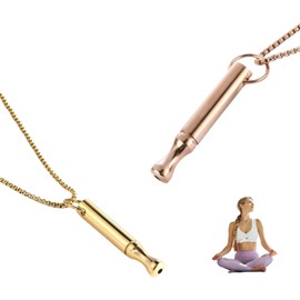 2 Stück Rauchentwöhnung Hilfsmittel,V2 Halskette Rauchfrei Original,Atemkette Raucherentwöhnung Kette mit Pfeif,Angst Atemhalskette Widerstand,Gegen Rauchen Aufhören Anti Rauch Necklace,für Widerstand