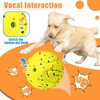 Moonorange Large Dog Vocal Balls, Interactive Squeaky Dogs Balls, Tough