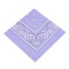 Boolavard 1s, 6s, 9s or 12 Pack Cowboy Bandanas with
