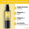 Sqin Luxiena Serum Baba de Caracol Coreano, Mucina de Caracol
