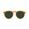 RAEN Optics Remmy 49 Honey/Green Polarized One Size