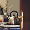Gereiny Kettle Spout Whistle Nozzle Stainless Steel Kettle Spout Teakettle