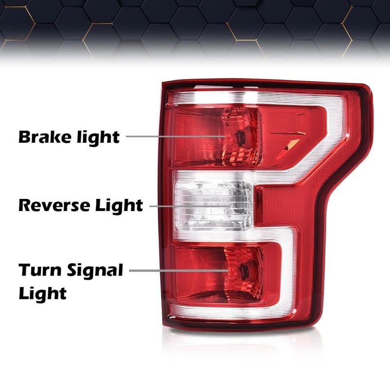 PIT66 Tail Light W/Bulbs and Wiring Harness Right Passenger Side