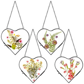 Cinnvoice 4 Pcs Glass Pressed Flower Frame Hanging Double Glass Pressed Flowers Modern Heart Picture Geometric Clear Floating Frames for Home DIY Wall Decor(4 x 4 Inch,Black)