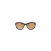 HIS HPS00100-1 Sunglasses Brown Pole