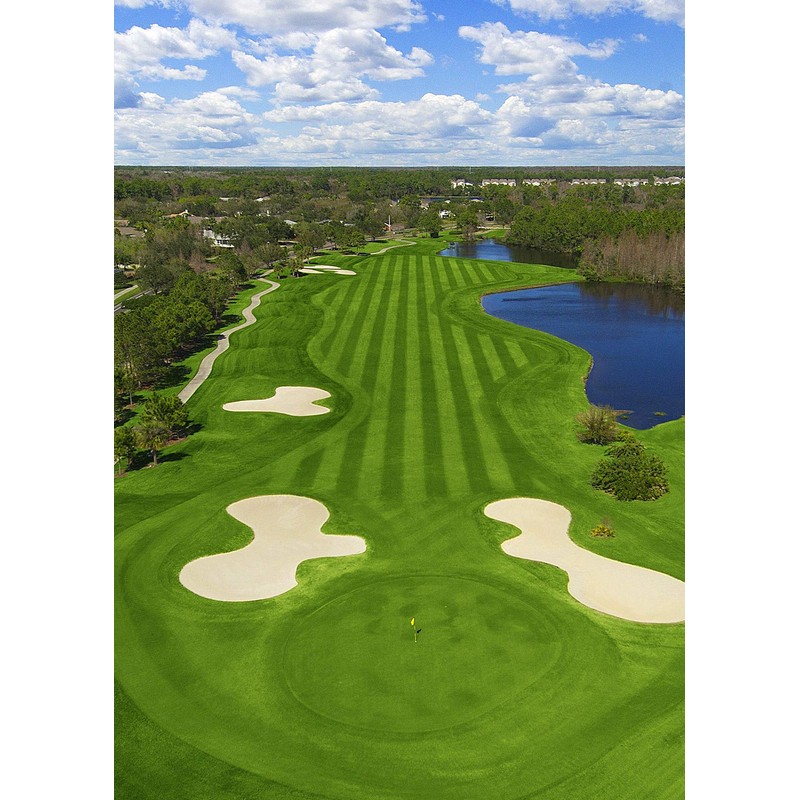 LYLYCTY 5x7ft Golf Course Backdrop Blue Sky White Clouds and