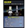 Briteye LED Headlight, Car Inspection Compatible, 6500K, White, Fanless, DC12,