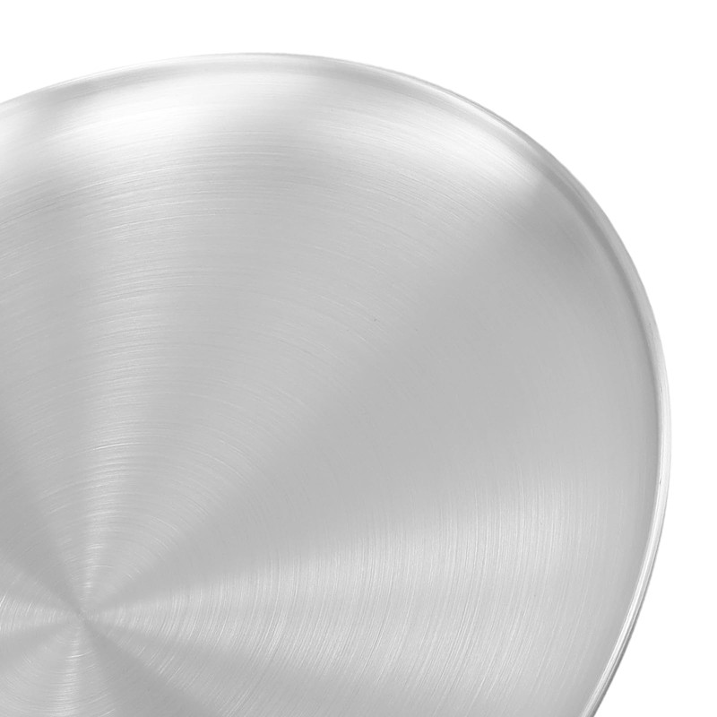 SOUJAP 15 PCS Stainless Steel Plates, 10.2 Inch Lightweight Pizza