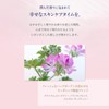 NEAL'S YARD REMEDIES Wild Rose Beauty Balm Serum, 1.8 oz