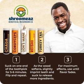 Shroomeaz Flavored Infused Toothpicks (Variety Reishi, Cordyceps, Lions Mane, Turket Tail, Chaga) 5 Pack
