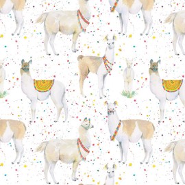 Llama Recyclable Gift Wrapping Paper - 2 Sheets and 2 Tags - Fun Birthday Gift wrap for her - Kids - Children - Teens