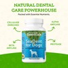 Animal Essentials SeaDent for Dogs - Kelp and Enzymes Plaque,