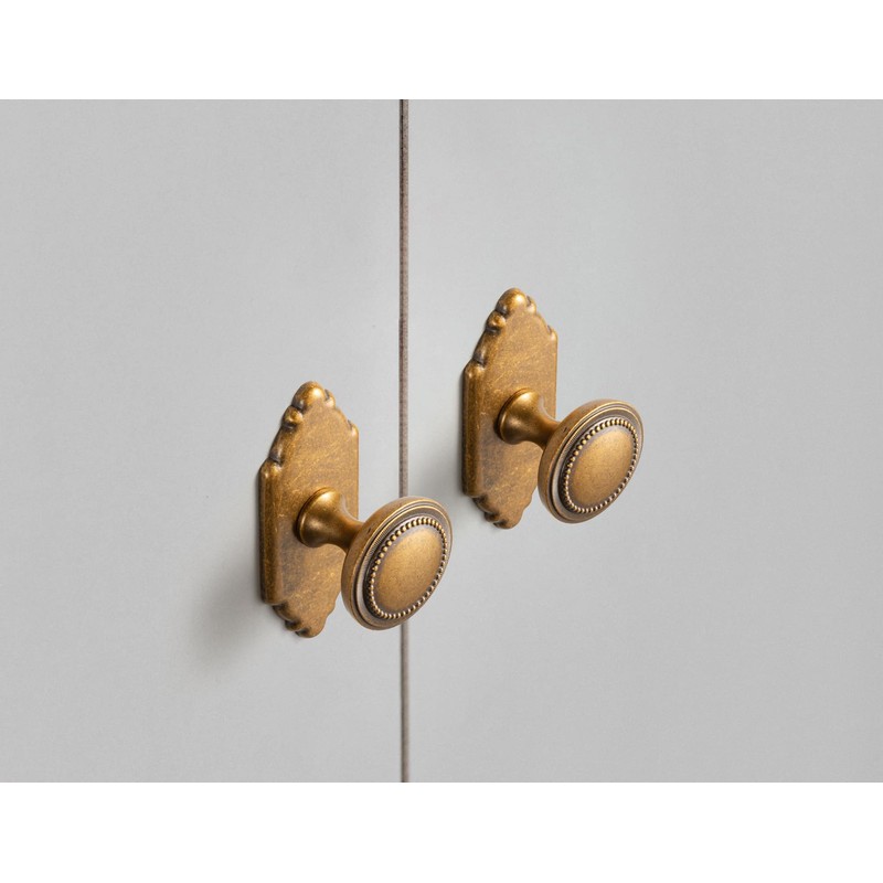 Goo-Ki Antique Brass Cabinet Knobs with Backplate Zinc Alloy Kitchen