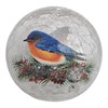 Gift Essentials Bluebird Crackle Glass Globe - LED Christmas Light