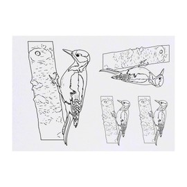 4 x 'Woodpecker On Tree' Temporary Tattoos - Water Resistant, Skin-Safe, Non-Toxic Transfers, Mixed Sizes (TO00072222)
