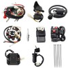 PRO BAT Full Electric Wiring Harness Wire Loom CDI Coil