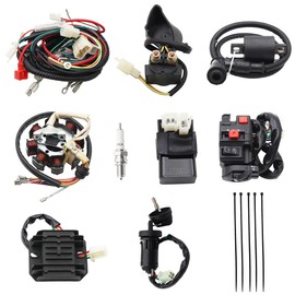 PRO BAT Full Electric Wiring Harness Wire Loom CDI Coil 8 Pole Stator Assembly For 4 Wheelers Stroke ATV Quad Pit Dirt Bike Buggy Go Kart 150cc 200cc 250cc 300cc Compatible with Zongshen Lifan YX