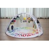 LADIDA Baby Gym Play Mat, Tummy Time Mat & Activity