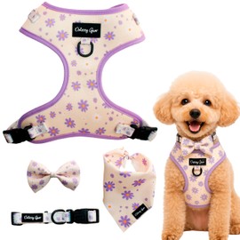 Daizzy Gear Matching Dog Harness Set – Daisy Dreams Purple with Daisies | 4-Piece Outfit for Small Dogs Includes No-Pull Harness, Adjustable Collar, Bow Tie & Bandana | Stylish & Comfortable