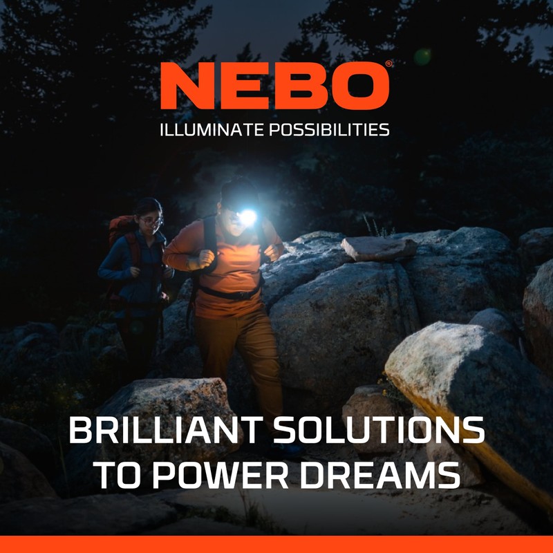 NEBO Lil Larry - 250 Lumen Torch with COB Work