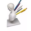 Unbranded Julius Caesar WHITE 3D PRINTED Pencil Holder Desktop Organizer