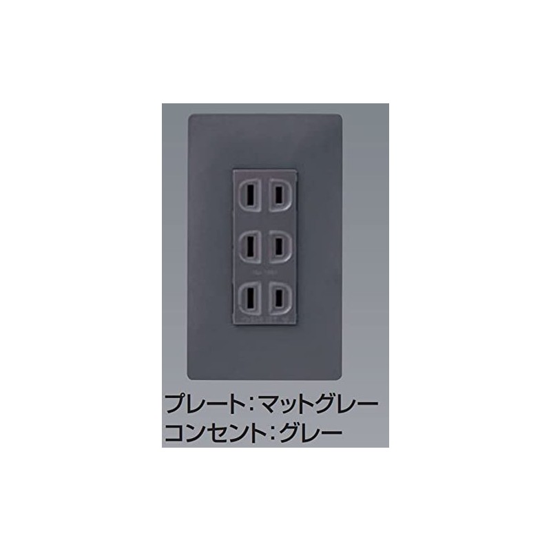 Panasonic WTL115249F Ground Double Outlet with Embedded Door Ground Terminal