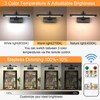 Tassuowell Battery Powered Picture Light with Remote and Timer,Full Metal