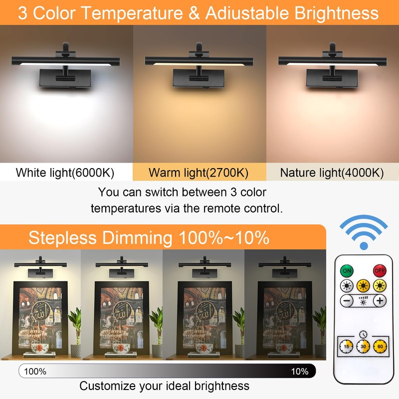 Tassuowell Battery Powered Picture Light with Remote and Timer,Full Metal