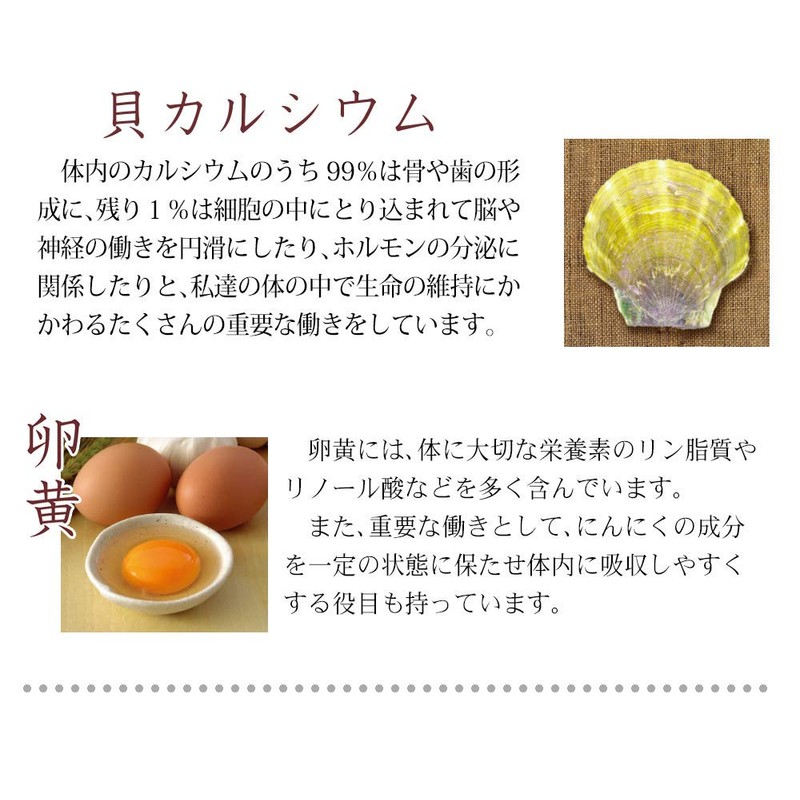大日ヘルシーフーズ ローヤルゼリー 濃縮にんにくの力 30粒入×1袋 にんにく卵黄 ビタミンB1 サプリ