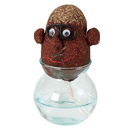 Flower Growing Set, Hair Labo, Papa