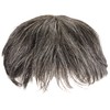 Priscilla GB-22-TDGH Men's 5-Minute Wig, Layer Short