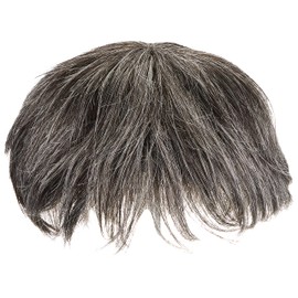 Priscilla GB-22-TDGH Men's 5-Minute Wig, Layer Short