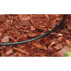 Rain Bird Rain Bird T22-50S Drip Irrigation 1/4" Blank Distribution Tubing, 50' Roll, Black